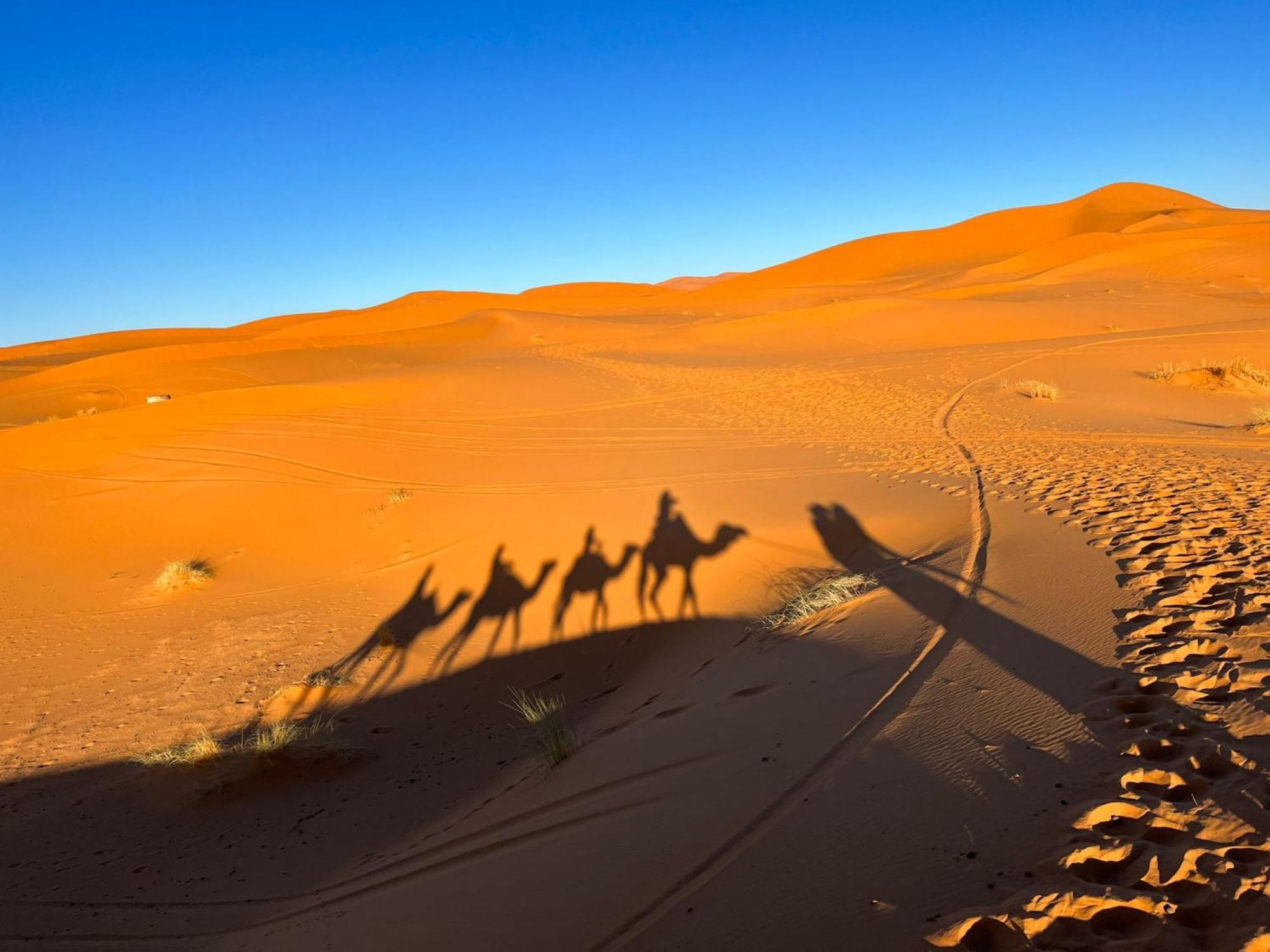 메르주가 Luxury Bedouin Camp B&B 외부 사진