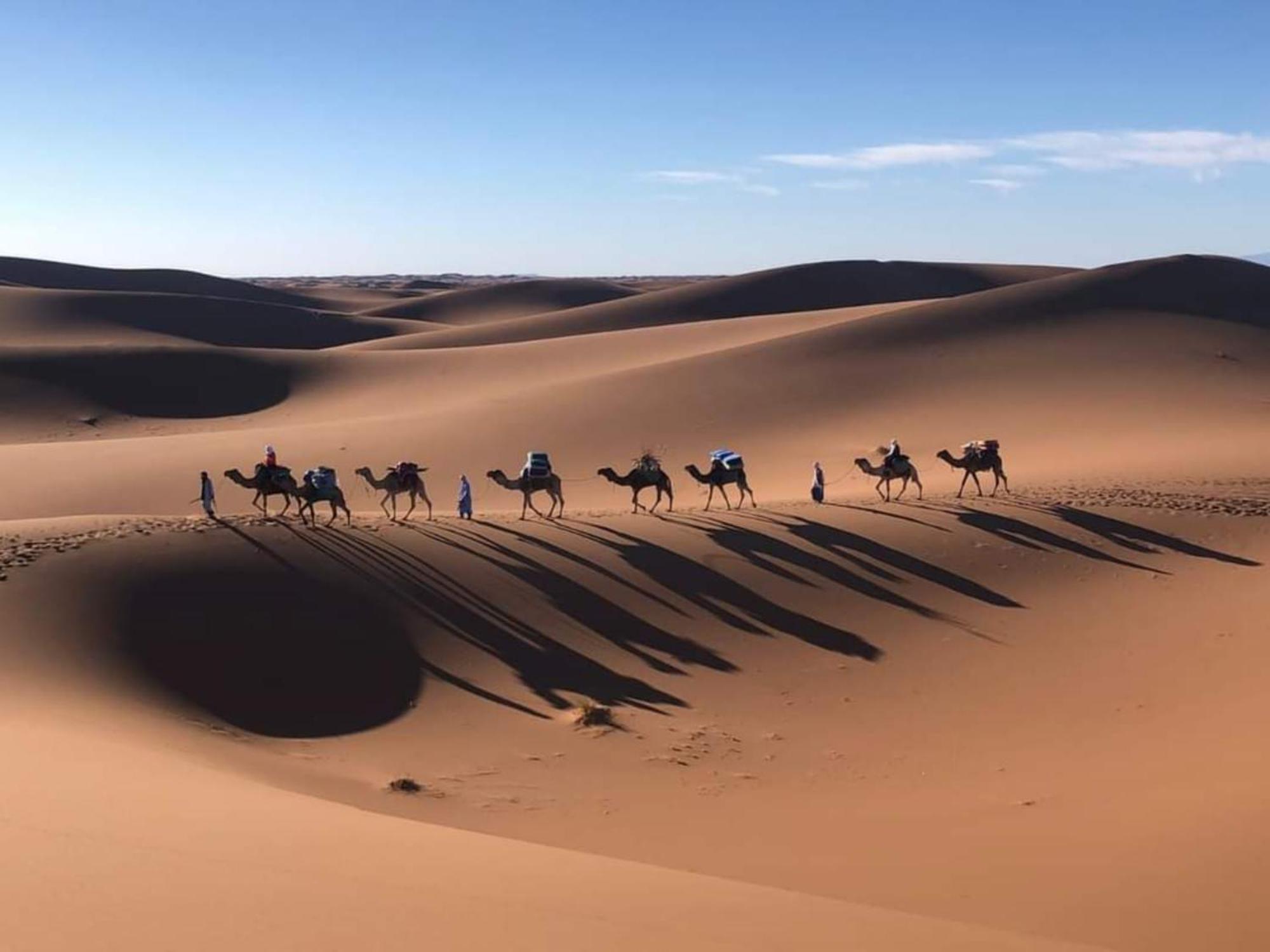 메르주가 Luxury Bedouin Camp B&B 외부 사진